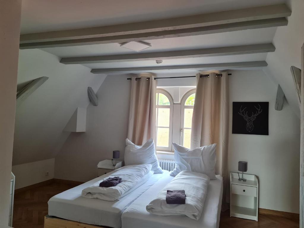 Appartements In Schoner Burganlage 耶拿 外观 照片